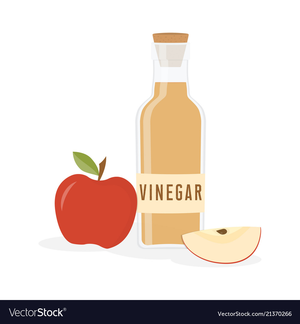 Vinegar bottle isolated Royalty Free Vector Image