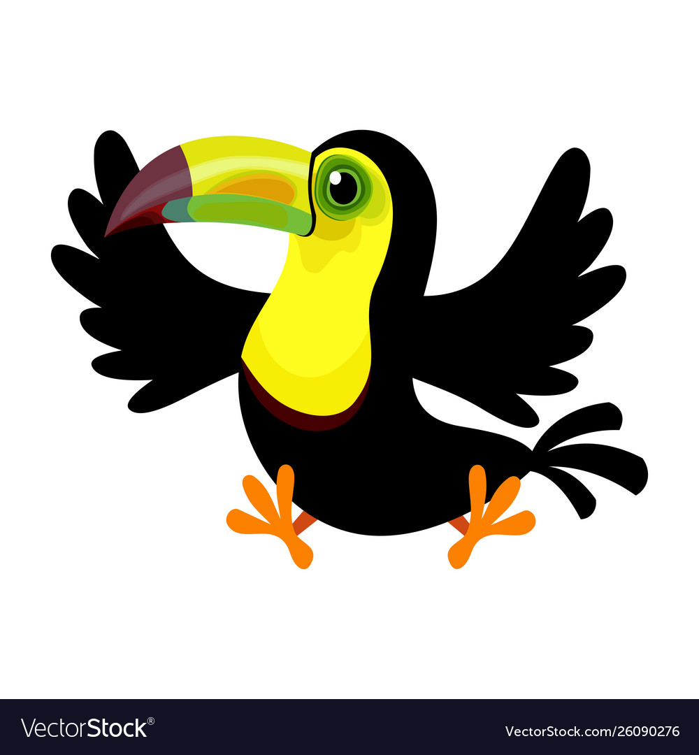 Keel Bird Toucan Vector Images 57 Keel Bird Toucan Vector Images 57