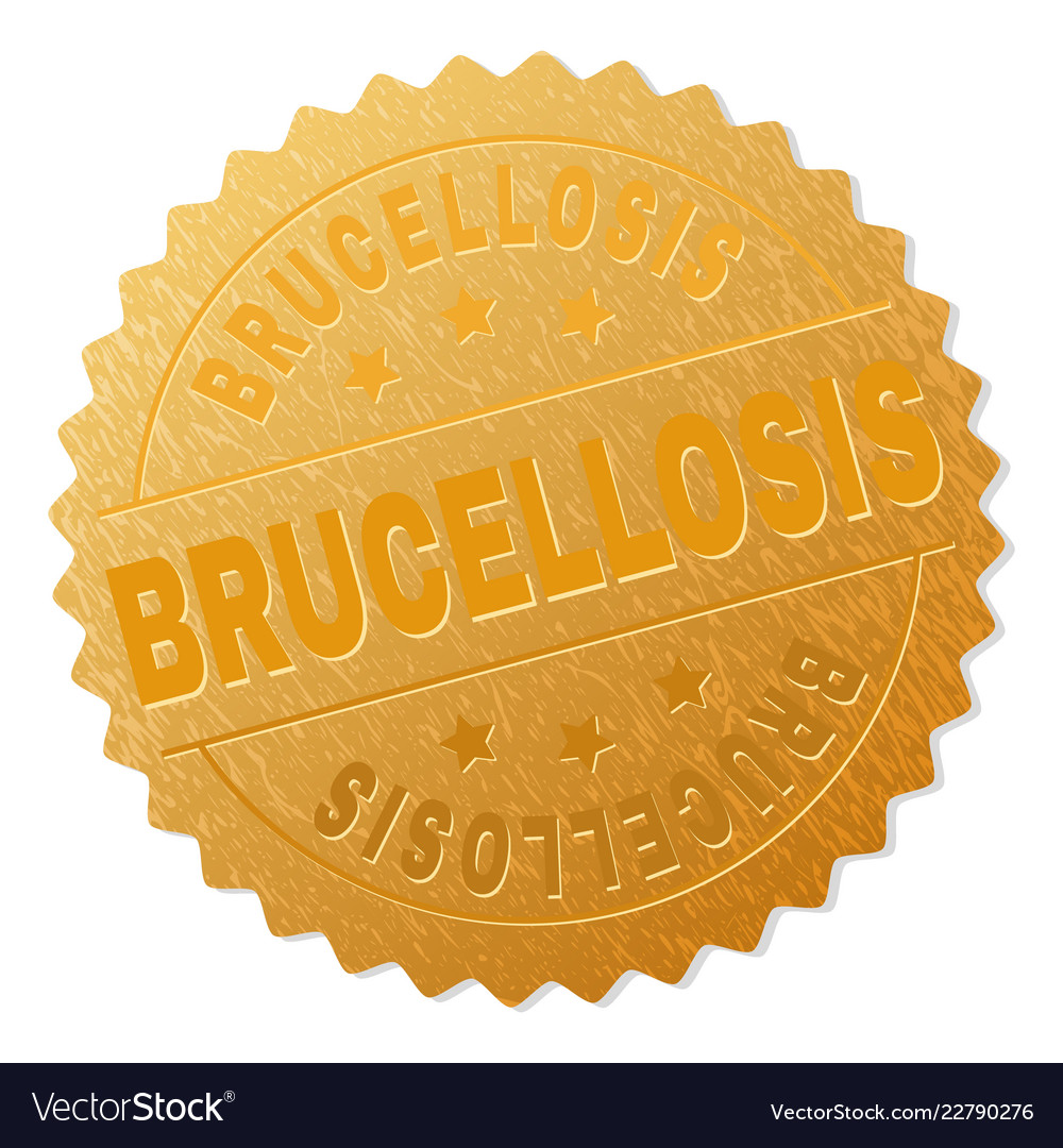 Gold Brucellosis Badge Stamp Royalty Free Vector Image