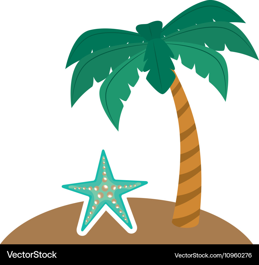 Summer palm tree Royalty Free Vector Image - VectorStock
