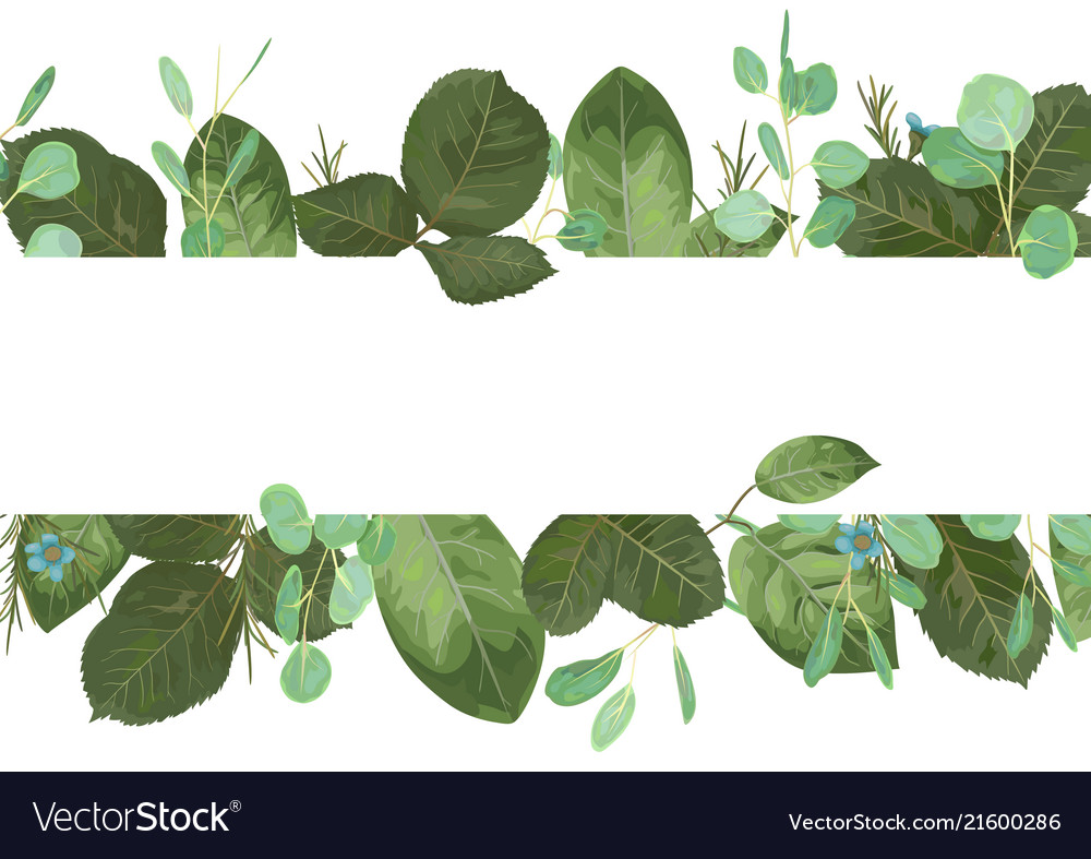Floral summer template for banner postcard vector image Floral summer template for banner postcard
