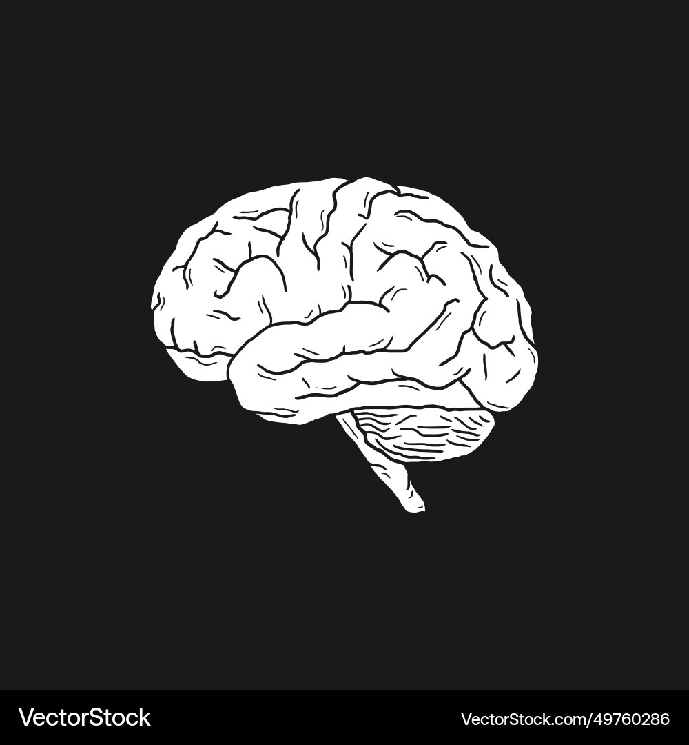 Human brain design Royalty Free Vector Image - VectorStock