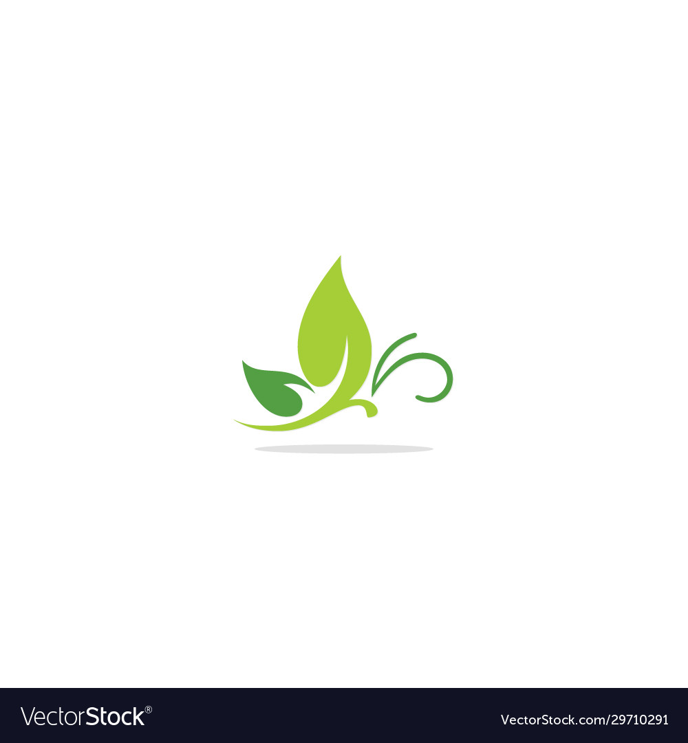 Green leaf ornament logo Royalty Free Vector Image