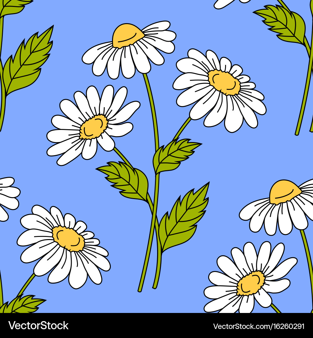 Seamless pattern with daisy flowers Royalty Free Vector