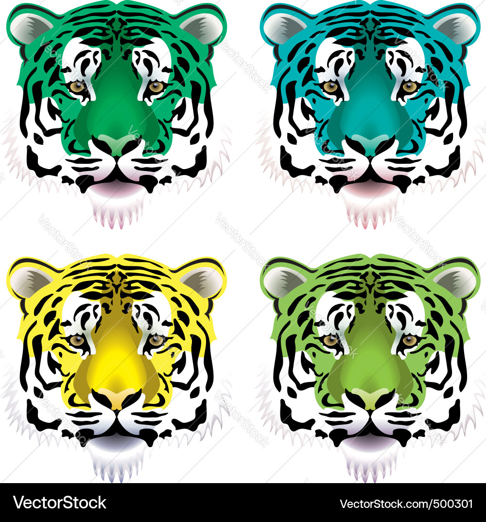 Tiger heads Royalty Free Vector Image - VectorStock