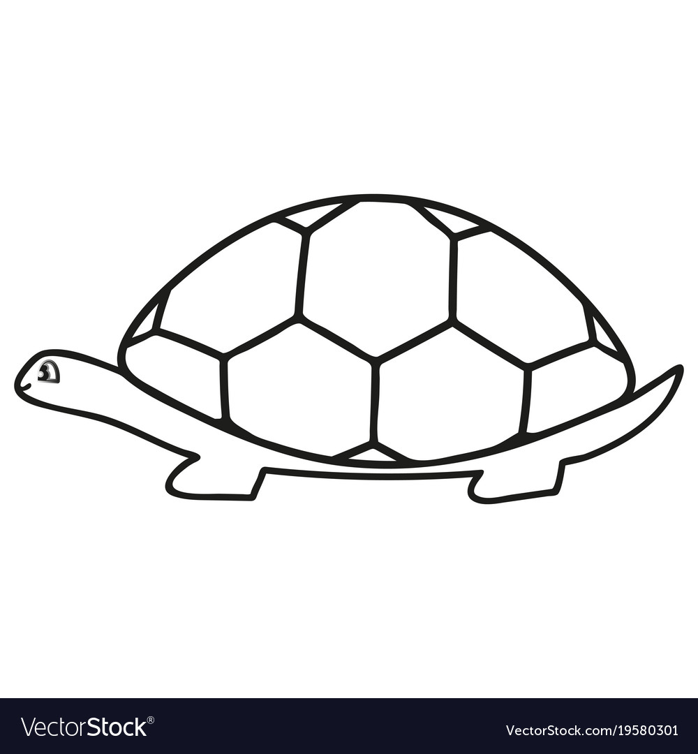 Turtle line icon