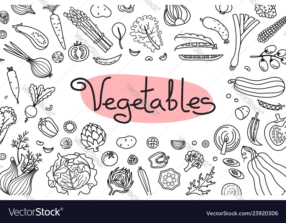 Background with various vegetables Royalty Free Vector Image