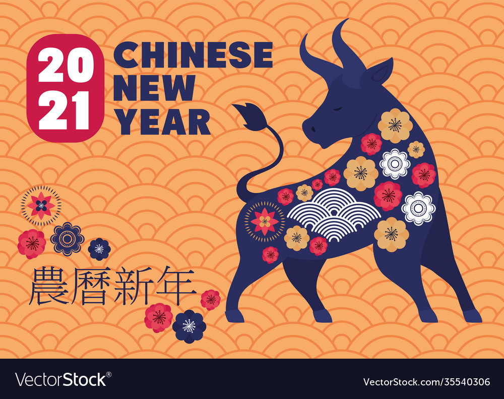 Happy new chinese new year lettering and one bull Vector Image