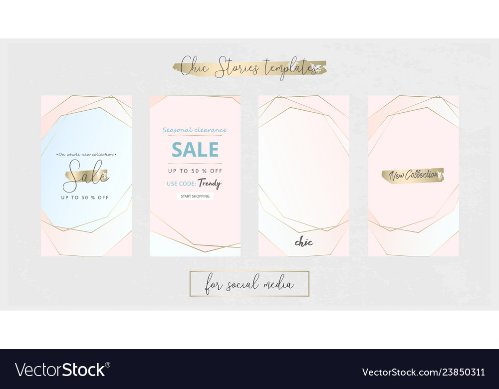 Editable instgram stories social media trendy Vector Image