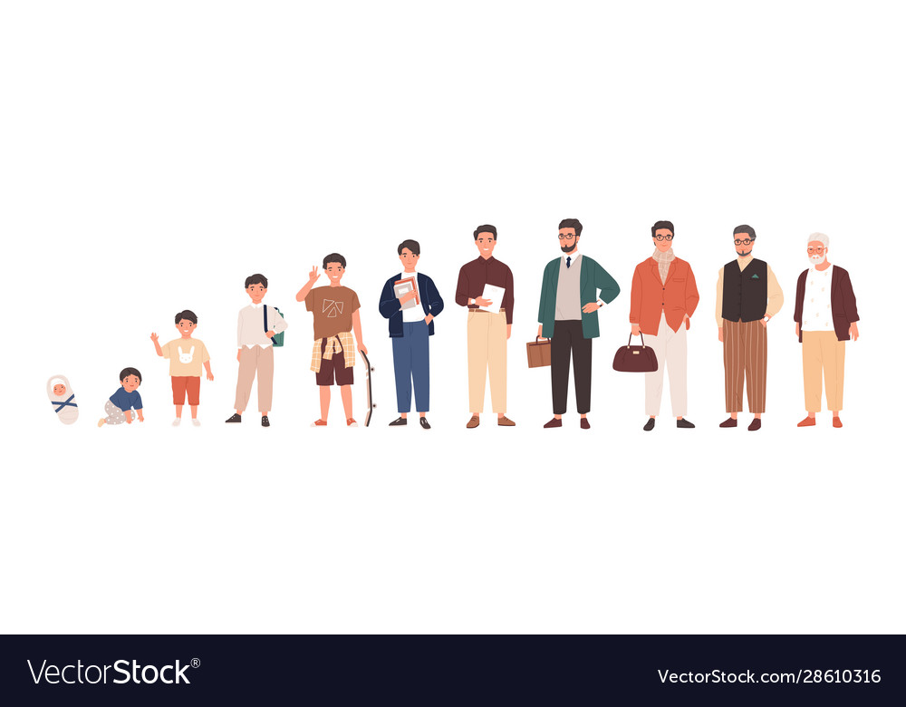 Life cycles of man stages growing up from baby Vector Image