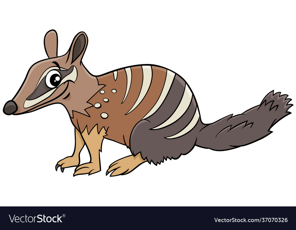 Cartoon numbat comic animal character Royalty Free Vector