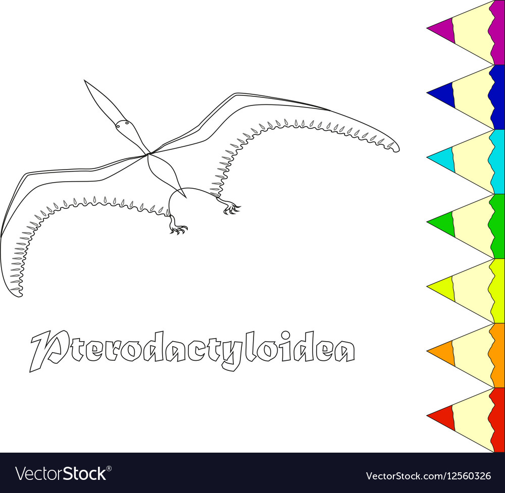 Dinosaur pterodactyloidea coloring page Royalty Free Vector