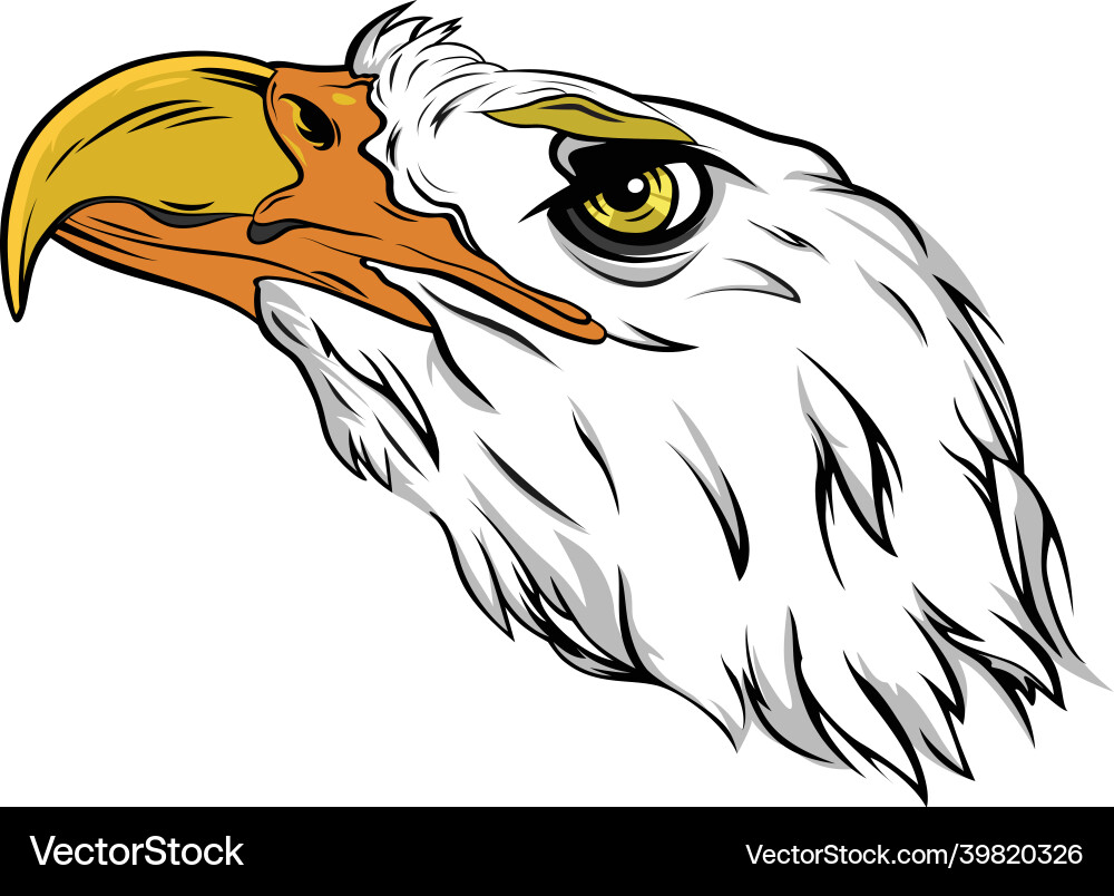 Eagle head Royalty Free Vector Image - VectorStock