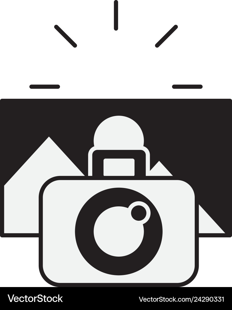 Photographic camera taking photo graphic Vector Image