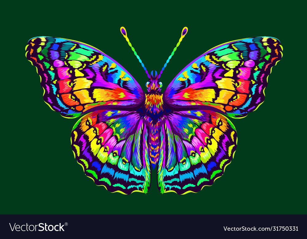 Tropical butterfly abstract colorful hand-drawn Vector Image