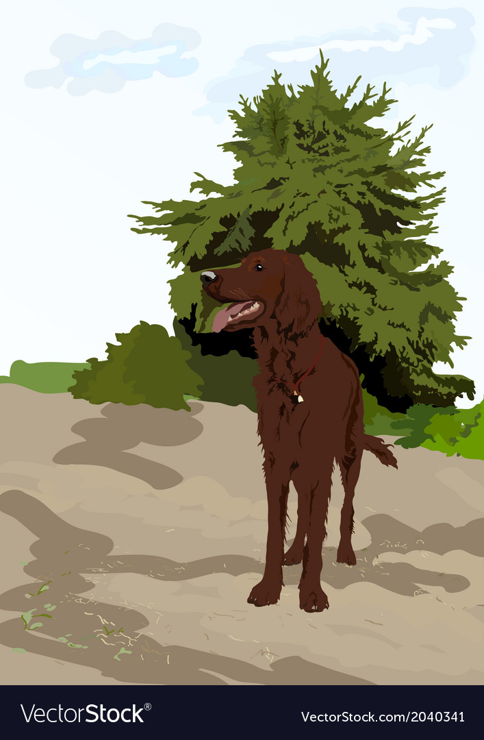 Dog near the tree Royalty Free Vector Image - VectorStock