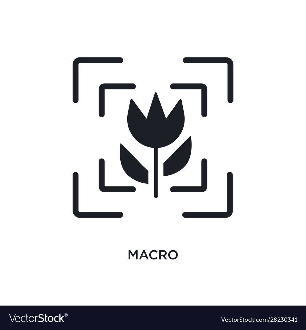 Macro isolated icon simple element from Royalty Free Vector