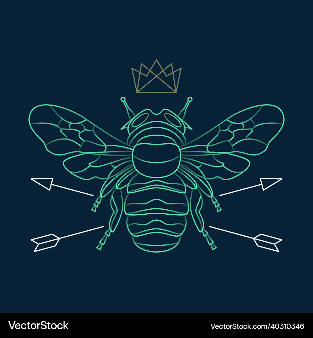 Abstract Stick Insect Abstract insects Royalty Free Vector Image - VectorStock