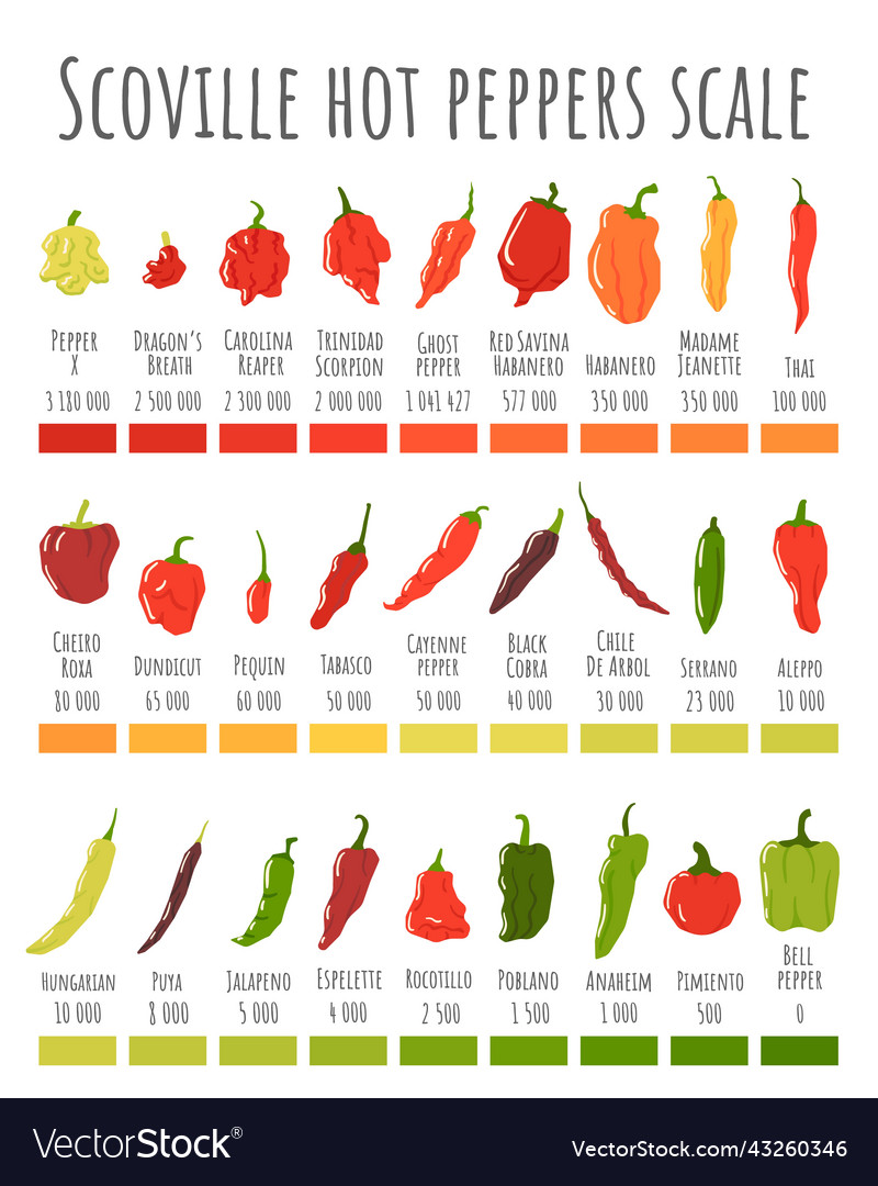 Scoville Hot Peppers Scale Pepper Chart Royalty Free Vector