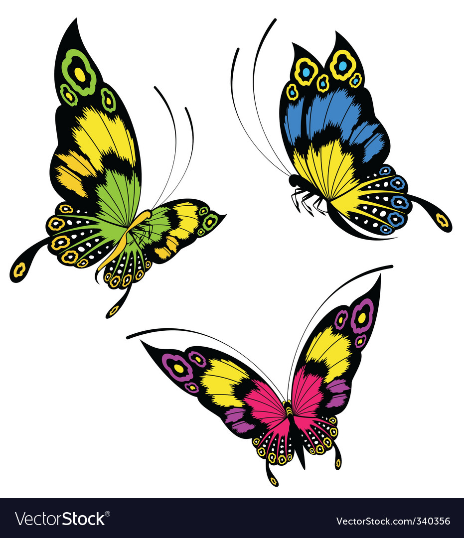 Butterflies Royalty Free Vector Image - VectorStock