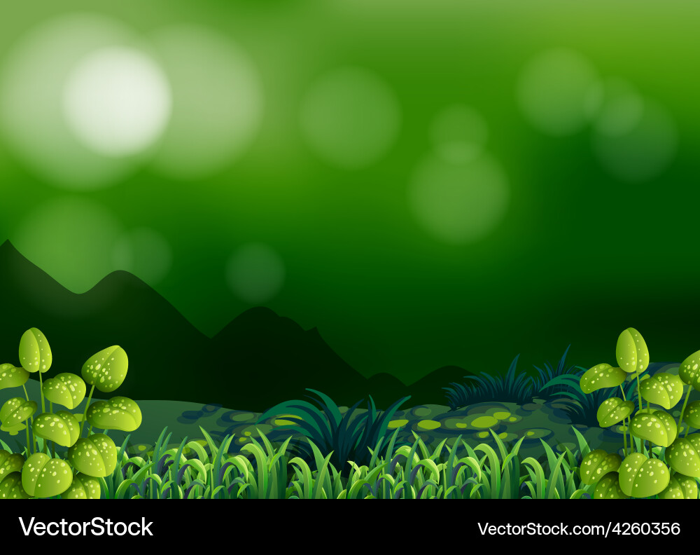 Forest background Royalty Free Vector Image - VectorStock