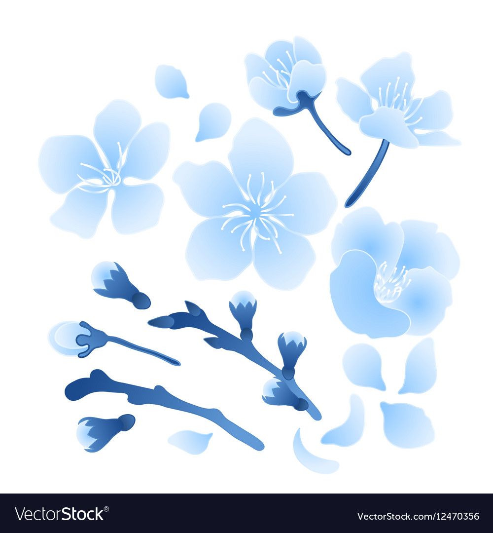 Graphic sakura set Royalty Free Vector Image - VectorStock