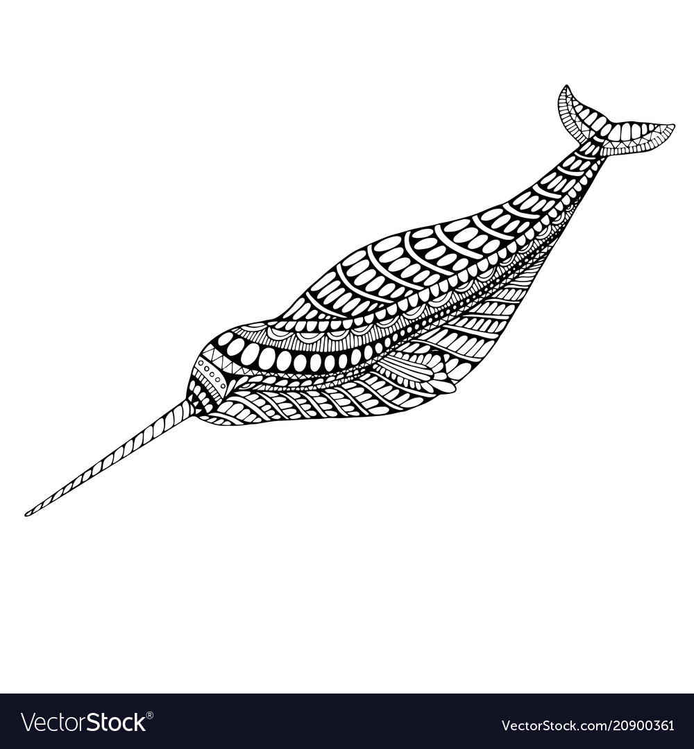 5000 Top Coloring Pages Narwhal Pictures