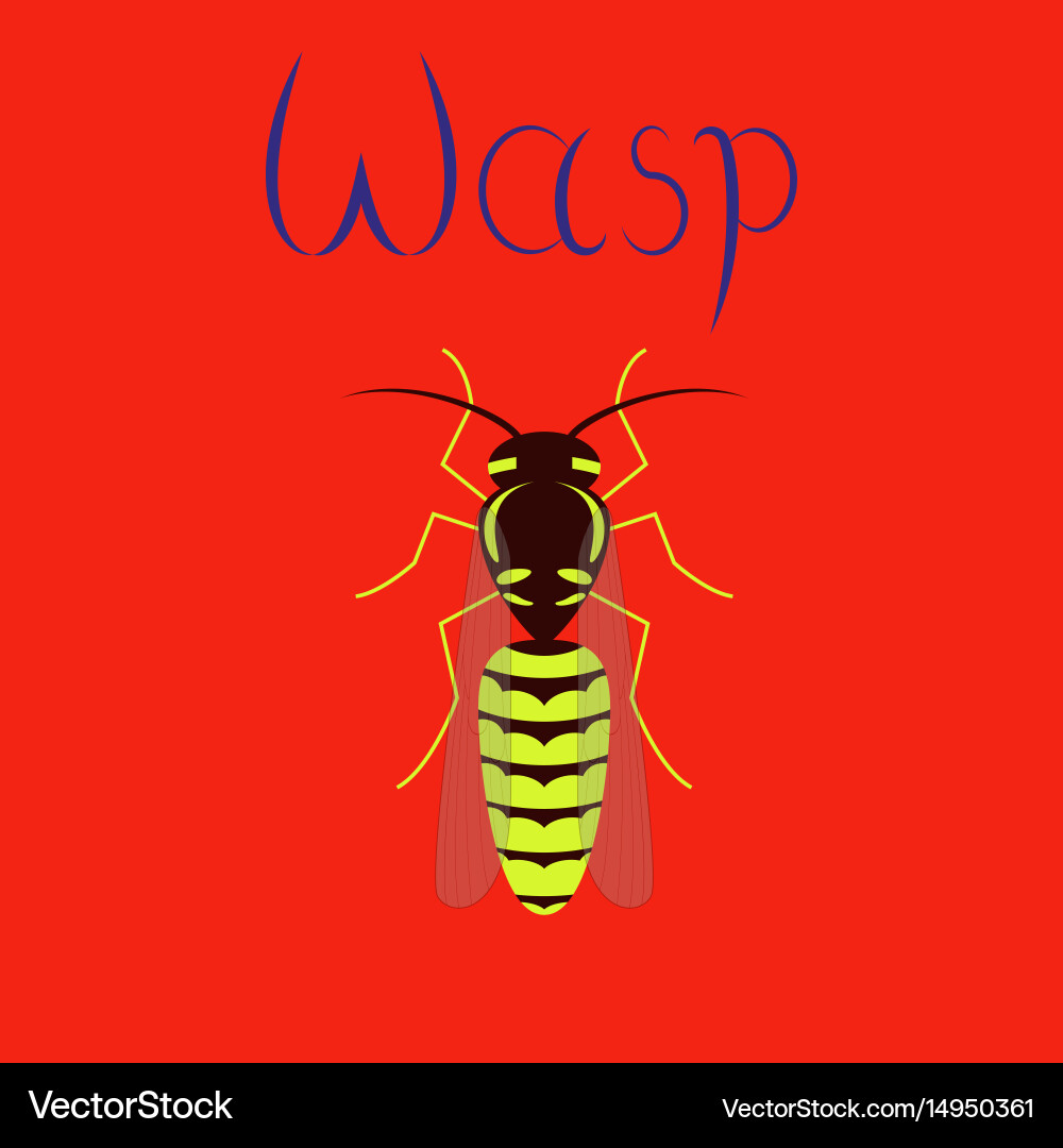 Flat on background insect wasp Royalty Free Vector Image