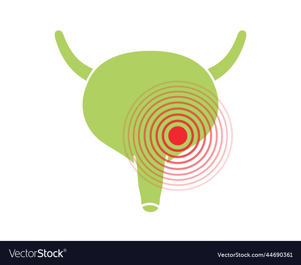 Human bladder pain symbol ache icon Royalty Free Vector