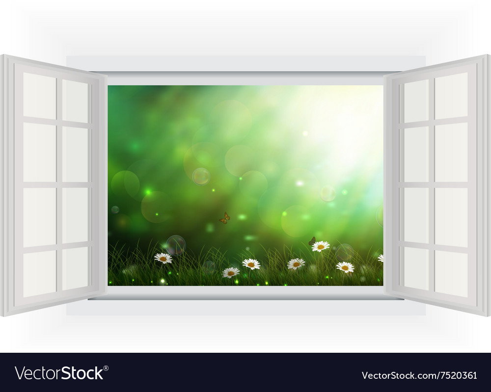 Open window of daisies in a meadow Royalty Free Vector Image