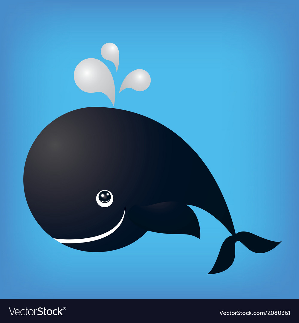 Whale ocean fish isolated