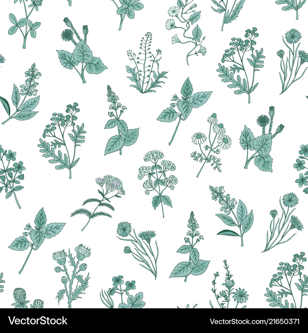 Hand drawn medical herbs pattern Royalty Free Vector Image