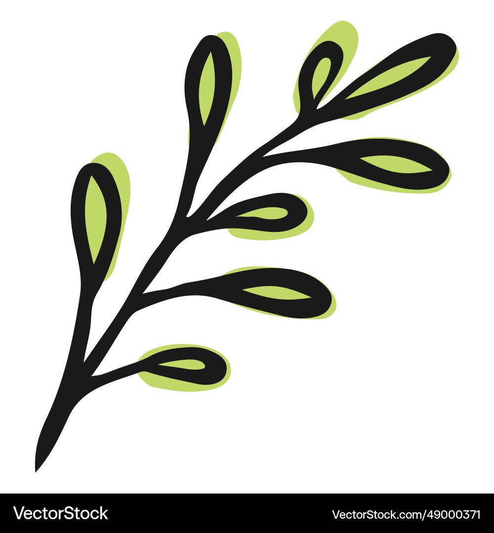 Simple green leaves Royalty Free Vector Image - VectorStock