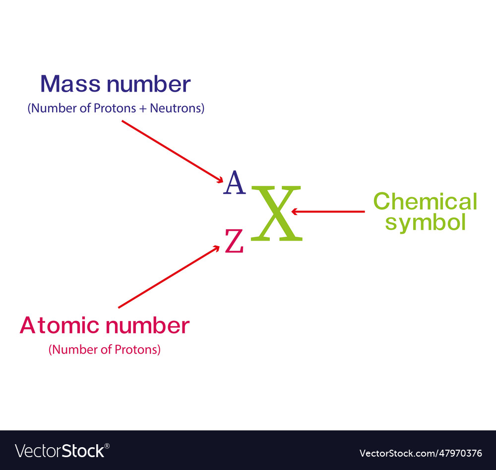 Atomic and mass number calculate Royalty Free Vector Image