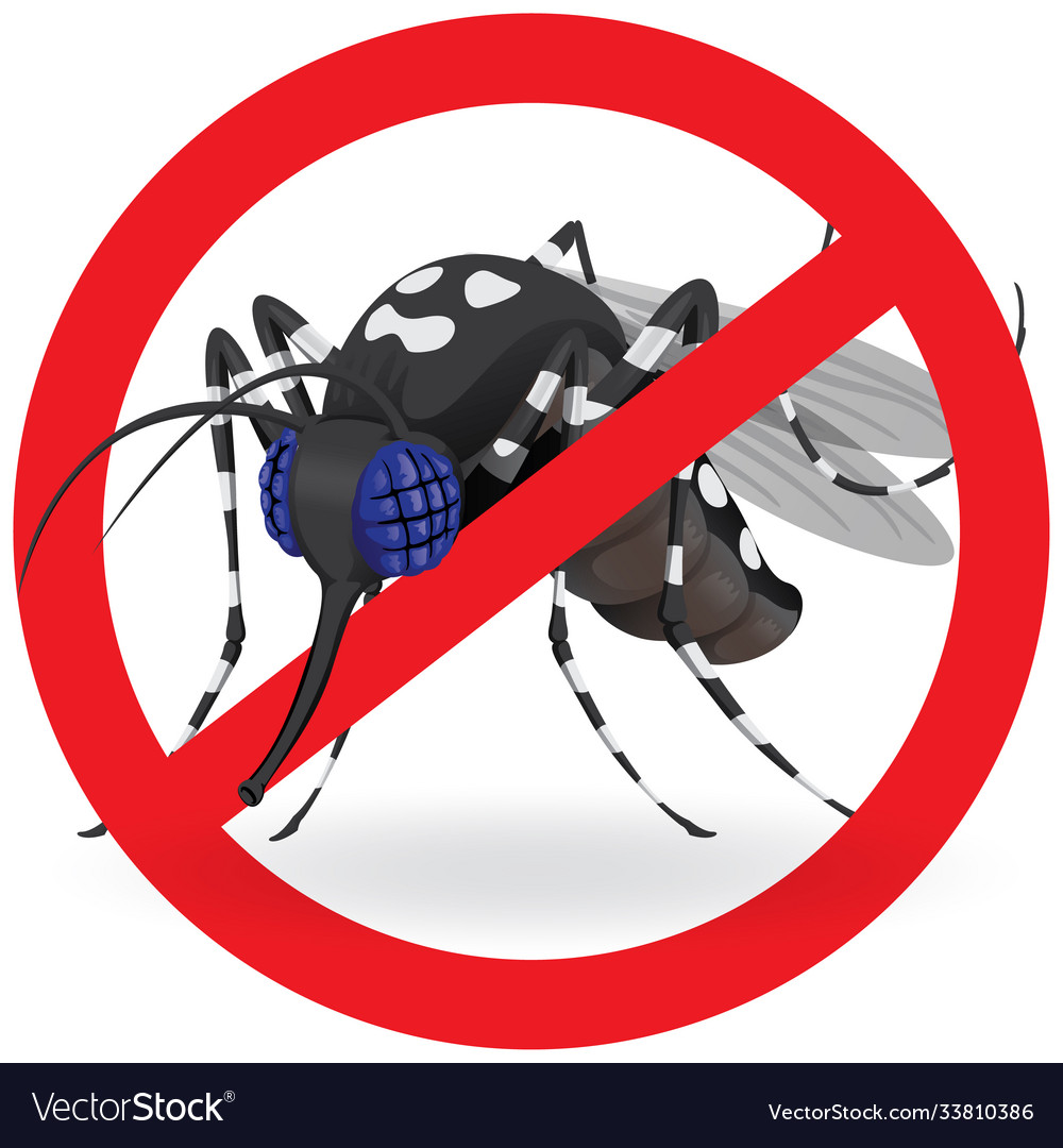 Aedes aegypti mosquitoes stilt prohibited signal Vector Image