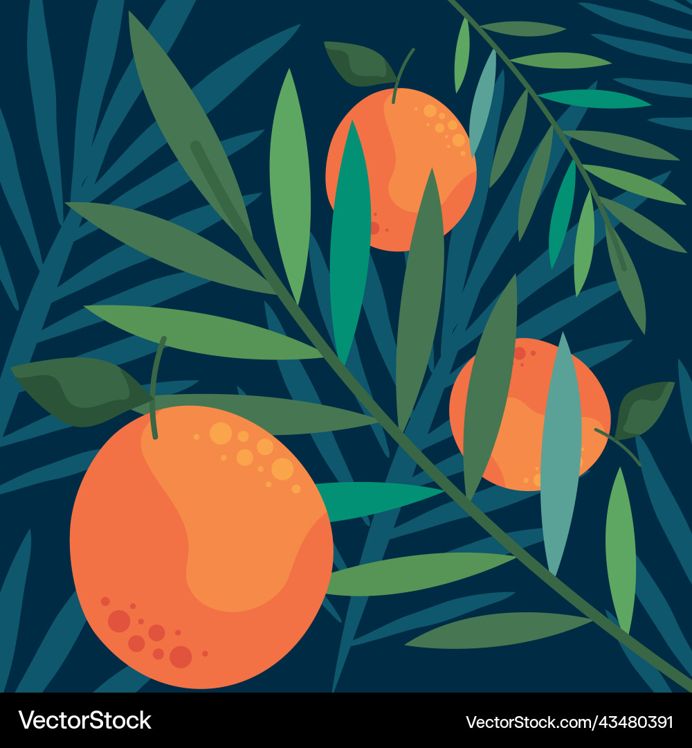 Oranges and leafs pattern Royalty Free Vector Image