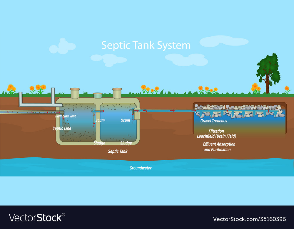 Mobile home septic system and drain field scheme Vector Image