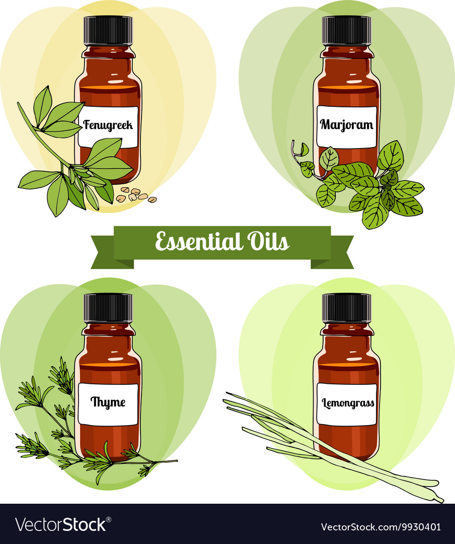 Essential Oils Set 3 Royalty Free Vector Image