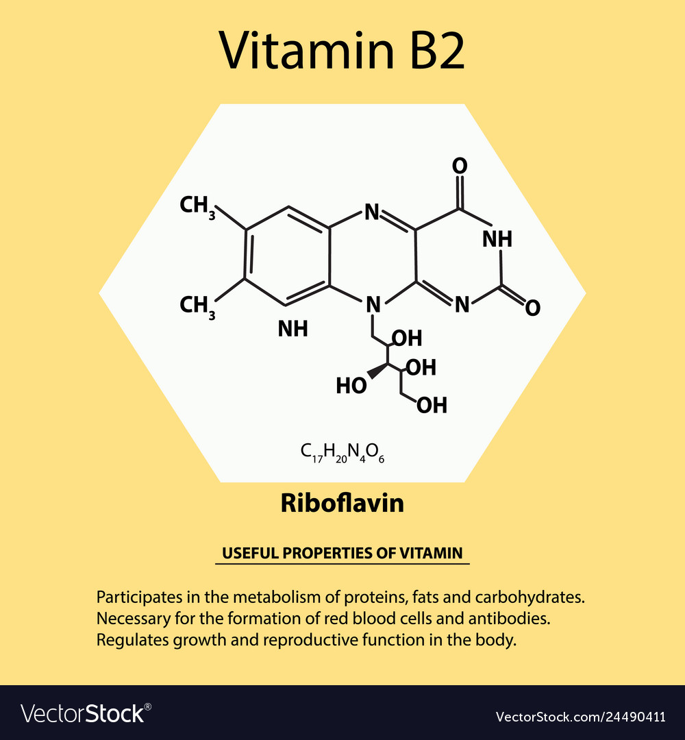 Vitamin B2 Riboflavin Molecular Chemical Formula Vector Image