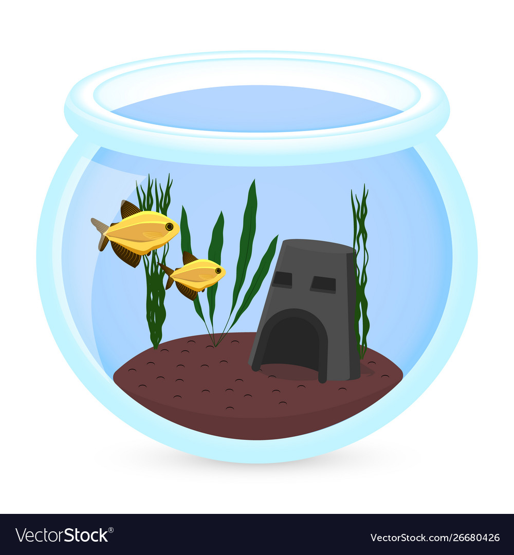 Aquarium fish silhouette Royalty Free Vector Image