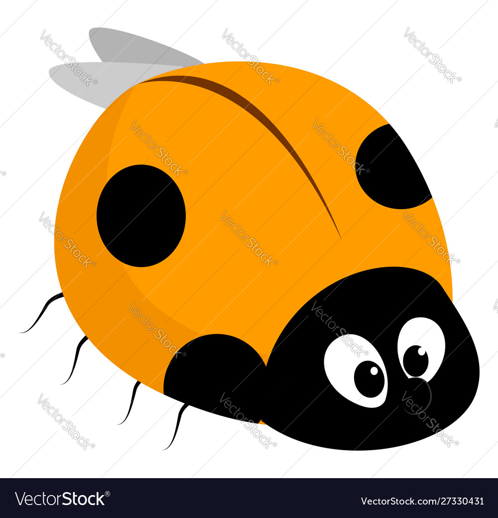 Yellow lady bug on white background Royalty Free Vector