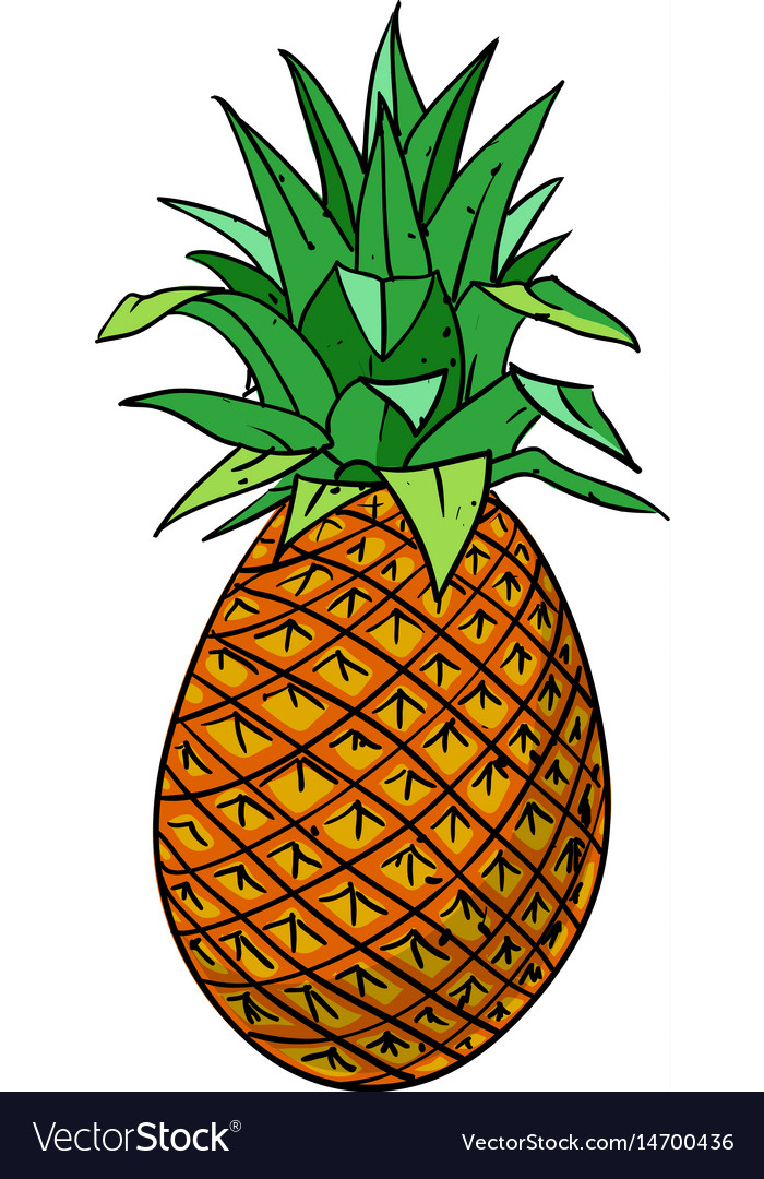 Cartoon image of pineapple Royalty Free Vector Image