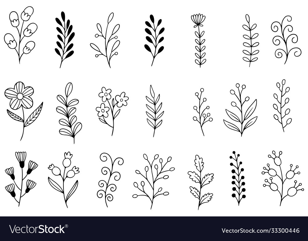 Hand drawn flowers doodle Royalty Free Vector Image