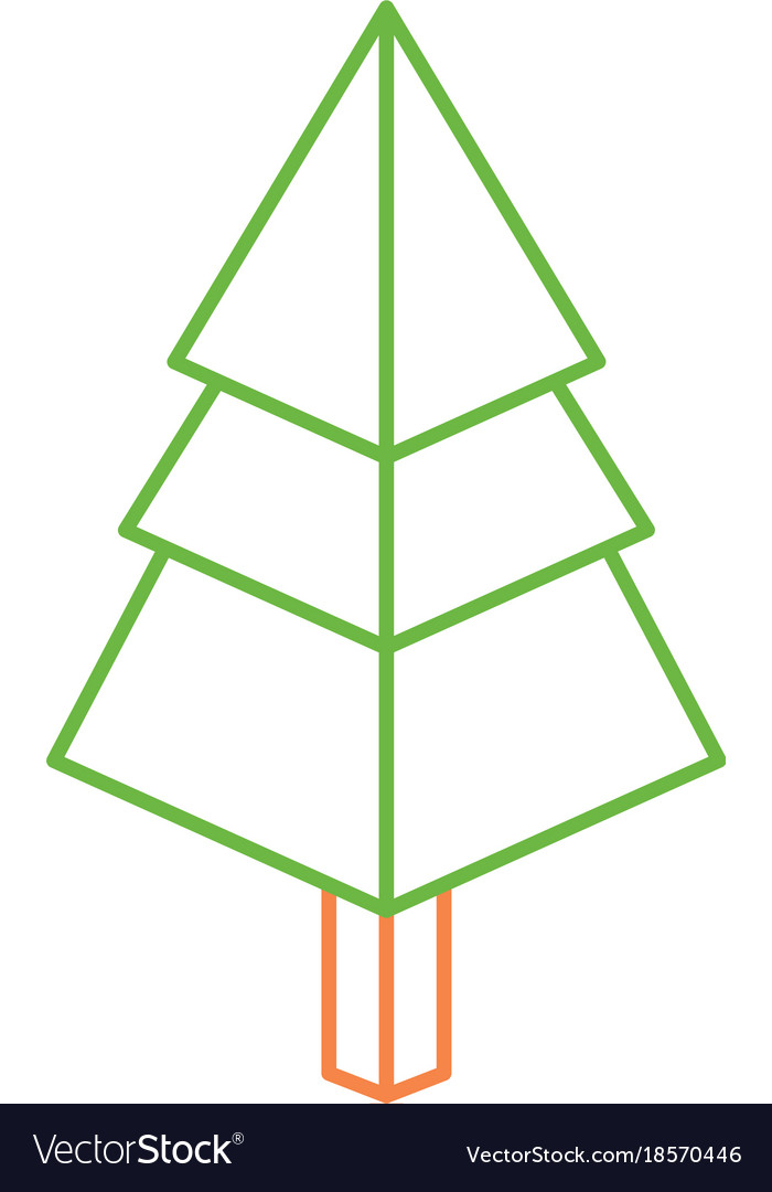 Isometric pine tree design Royalty Free Vector Image