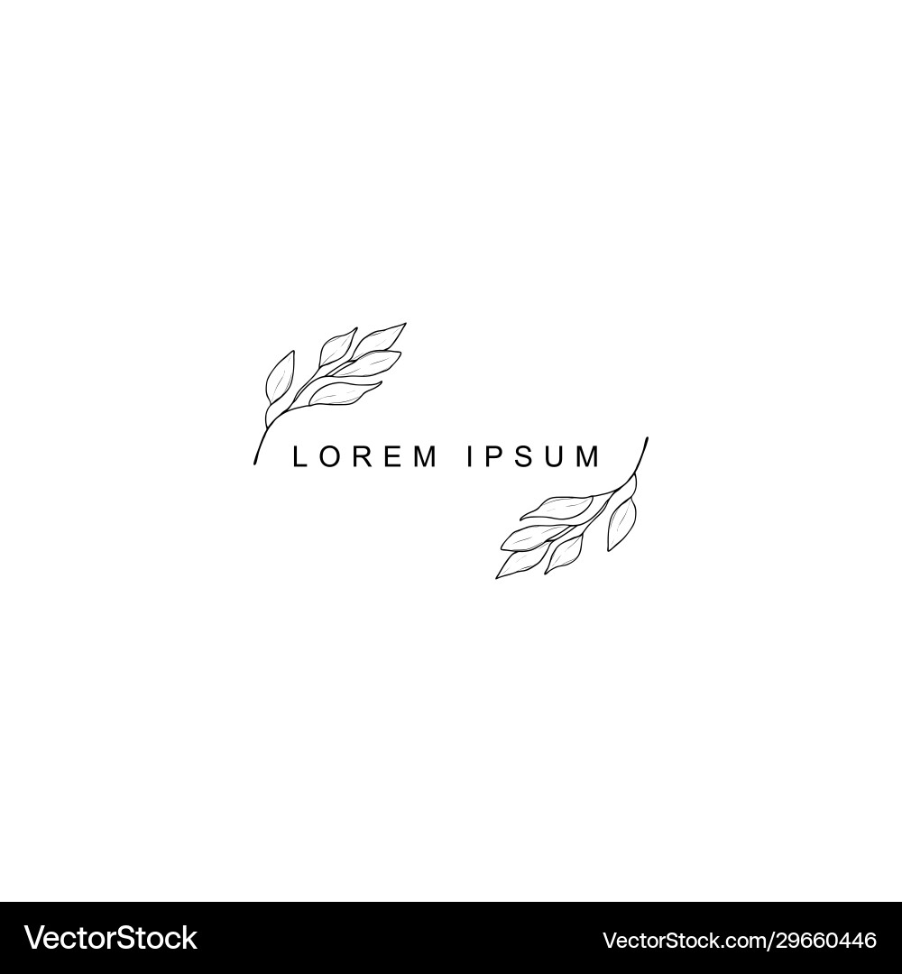 Set floral design elements Royalty Free Vector Image