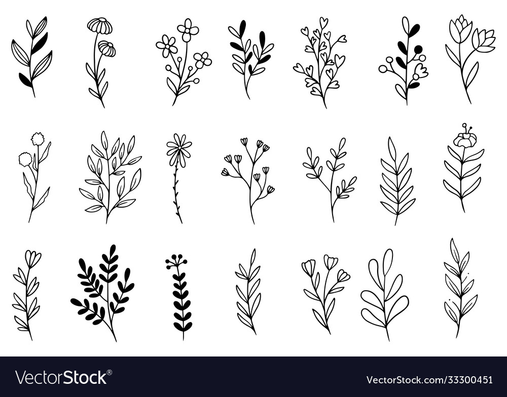 Hand drawn flowers doodle Royalty Free Vector Image