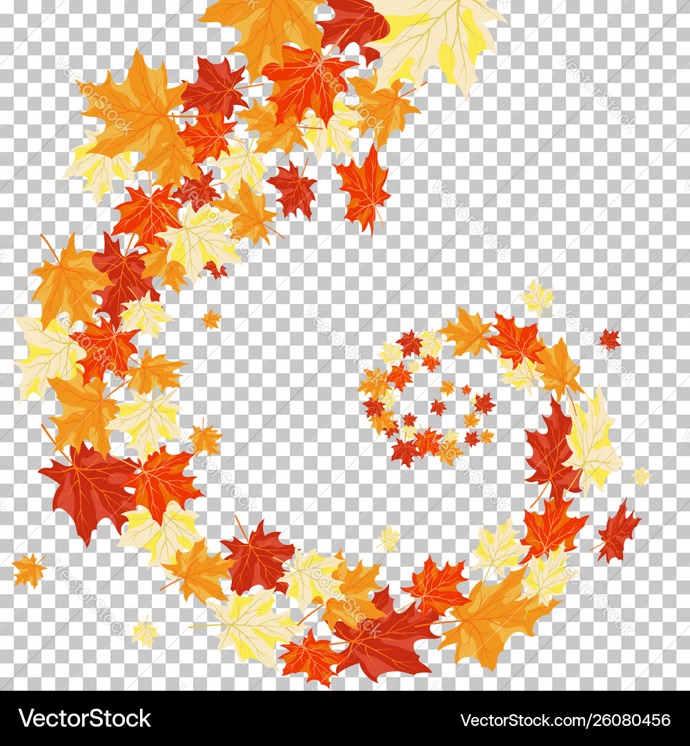Autumn maples Royalty Free Vector Image - VectorStock