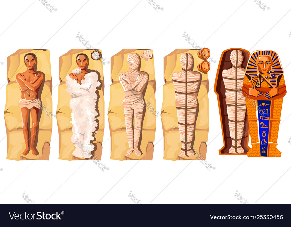 Mummy Creation Cartoon Royalty Free Vector Image