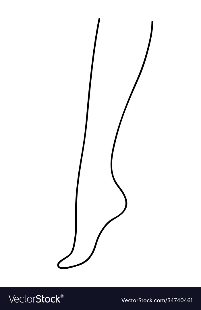 Beautiful female leg Royalty Free Vector Image