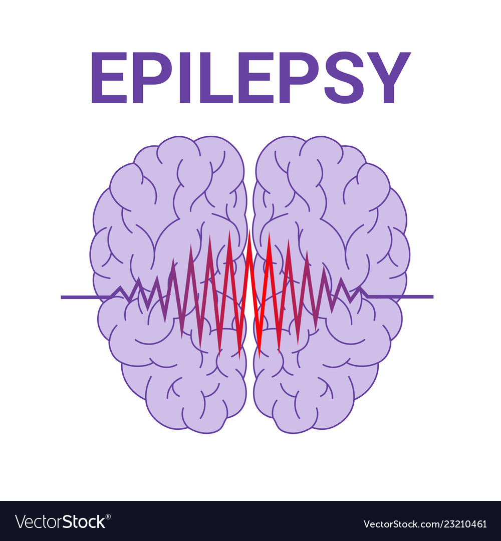 Brain icon Royalty Free Vector Image - VectorStock